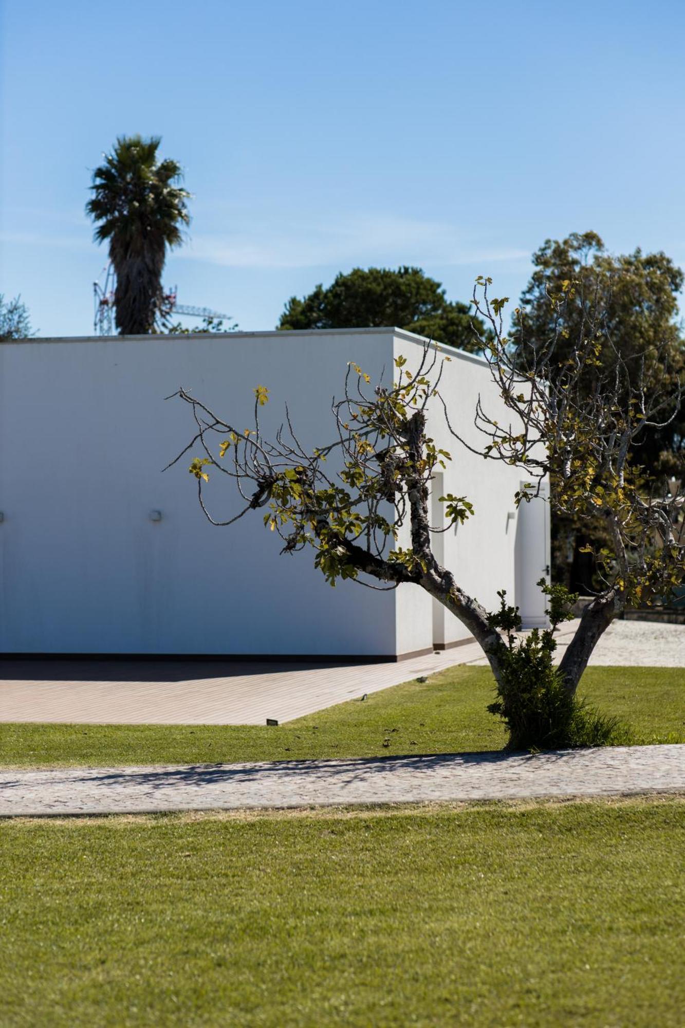 Quinta D'Anta- Hotel Rural Maiorca Exterior foto